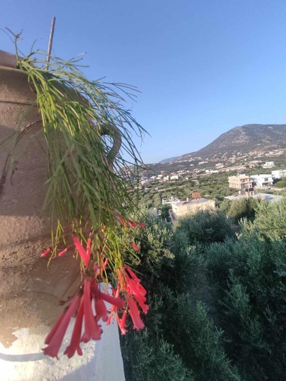 Irini Apartment Agios Nikolaos (Crete)